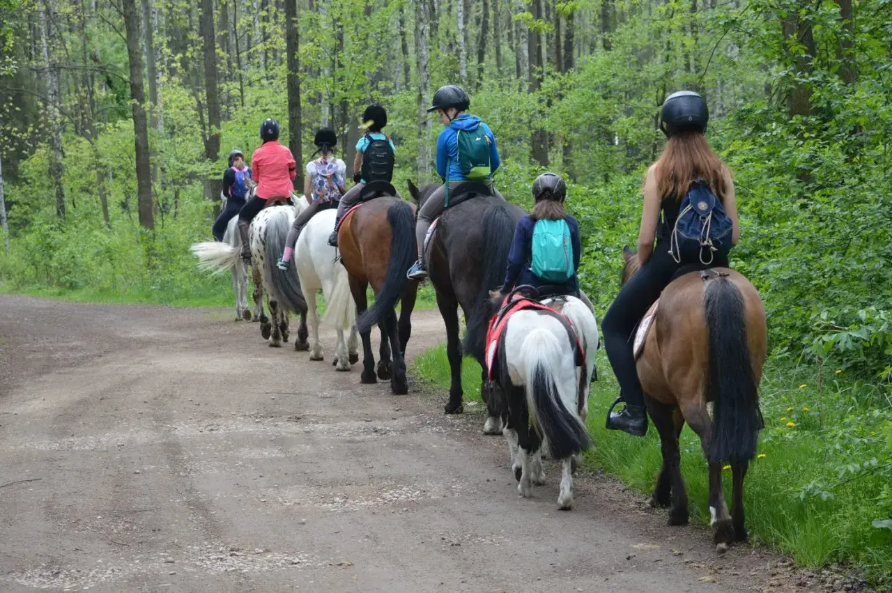 jazda konna początkujący zaawansowani Biały Borek
