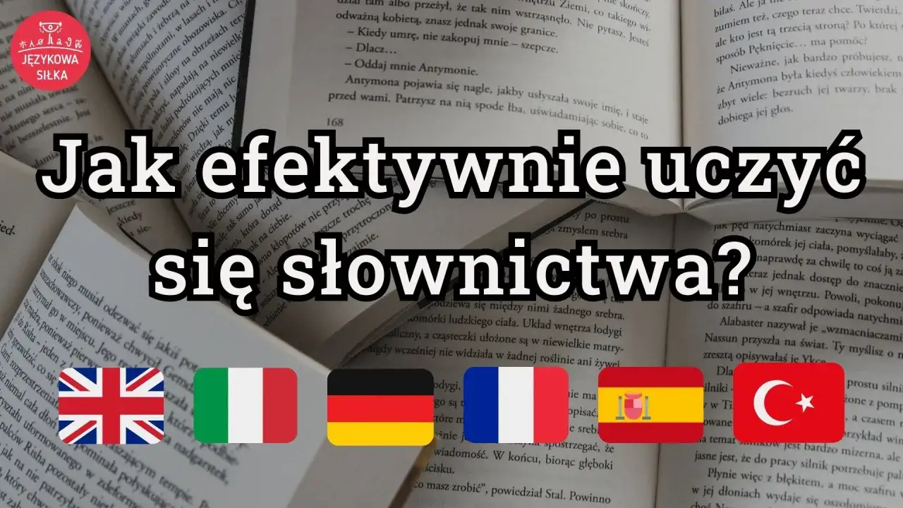 System powt&oacute;rek SRS nauka język&oacute;w