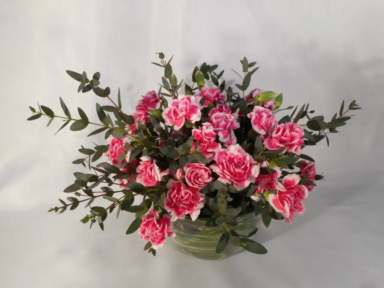 Kwiaty goździk&oacute;w w r&oacute;żowo-białym kolorze, otoczone gałązkami eukaliptusa, tworzą piękny styl dekoracyjny we florystyce.