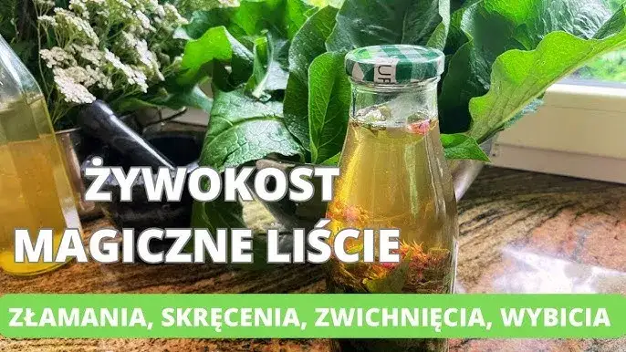 aplikacja nalewki z żywokostu na skórę