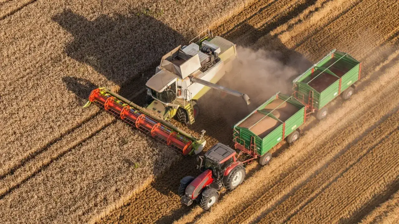 Kombajn zbiera zboże, kt&oacute;re trafia do przyczep ciągnika. To obraz ciężkiej pracy rolnik&oacute;w, kt&oacute;rzy zasłużyli na emeryturę rolniczą.