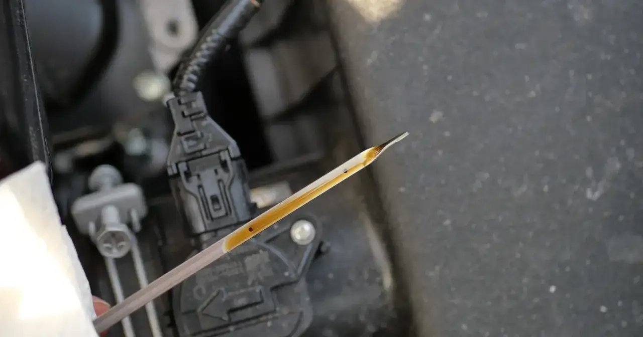 Miarka oleju pokazuje, ile wlać oleju do silnika. Poziom jest między znakami, więc jest w normie.