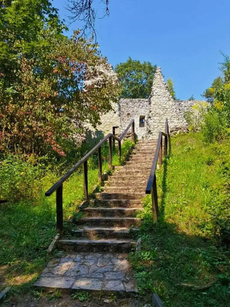 Zdjęcie Zamek w Bydlinie: Tajemnice średniowiecznej warowni i jej ruiny