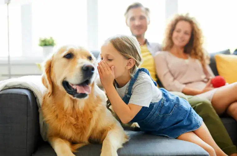 Zdjęcie Jak wytresować psa żeby się słuchał i uniknąć frustracji w treningu