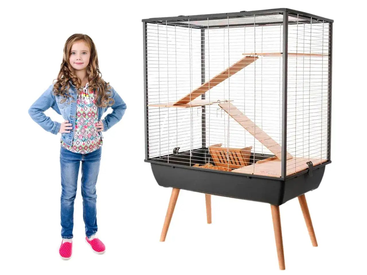 Zdjęcie Ile kosztuje klatka dla szynszyla? Ceny i porównanie modeli