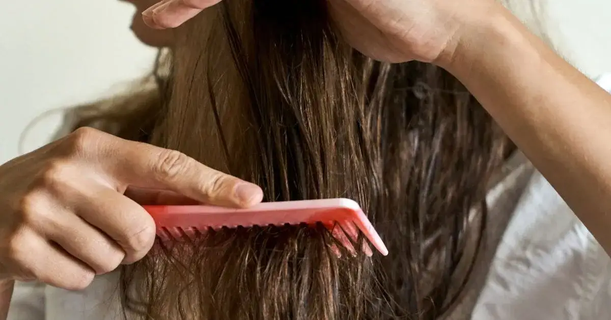 Zdjęcie Kołtuny - jak rozczesać i zapobiegać ich powstawaniu w przyszłości?