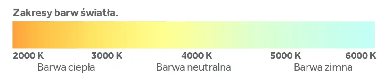 Zdjęcie Jaka barwa światła do nauki jest najlepsza - poznaj kluczowe parametry