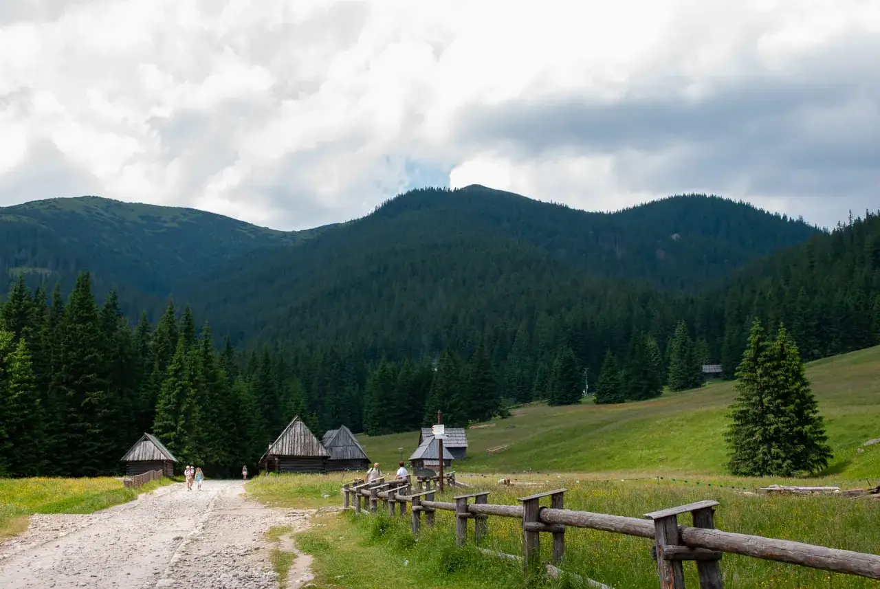 Kamienne drogi i drewniane chaty w Dolinie Kościeliskiej lub Chochołowskiej, otoczone gęstym lasem świerkowym i zielonymi wzg&oacute;rzami.