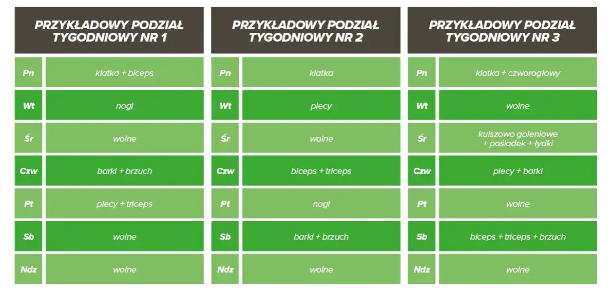 różne plany treningowe split, podział ciała na partie do treningu, przykładowy harmonogram split
