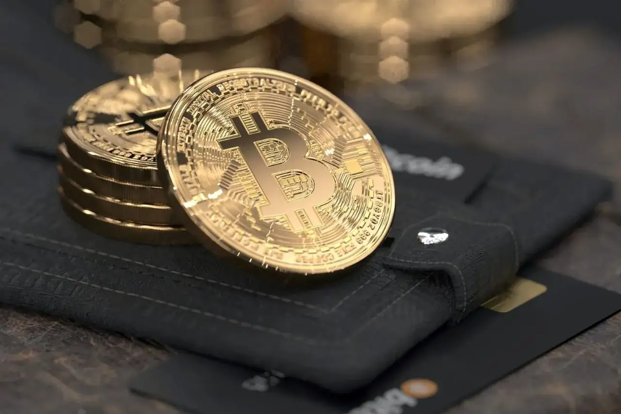 rodzaje portfeli kryptowalutowych gorący zimny porównanie