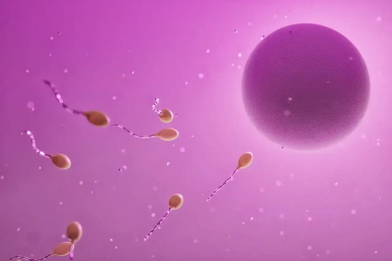 Zdjęcie Czy in vitro to grzech? Poznaj kontrowersje i naukę Kościoła