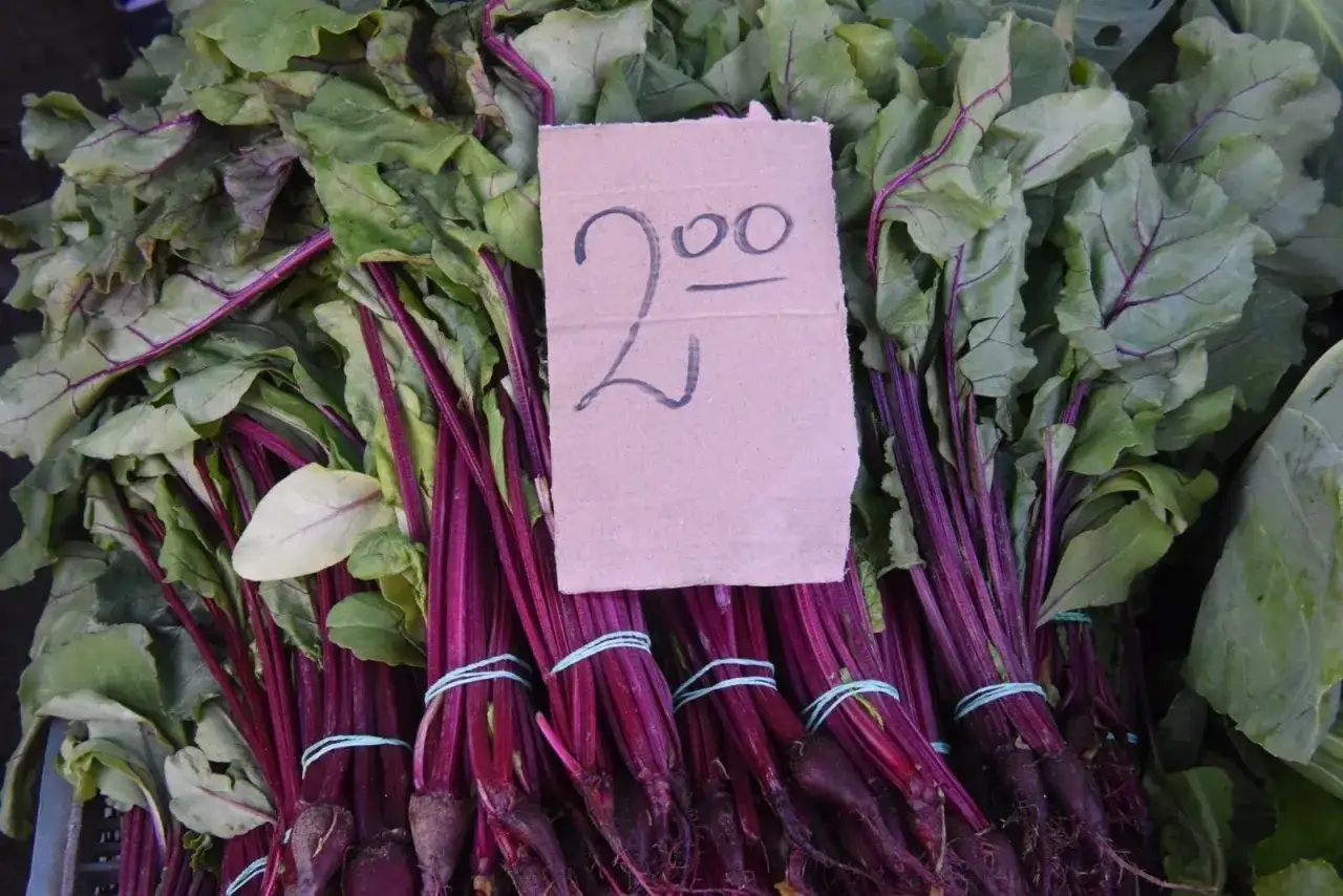 Botwinka i burak ćwikłowy porównanie