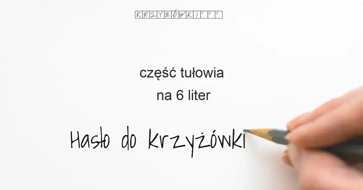 Krzyż&oacute;wka z hasłem ćwiczenia tułowia
