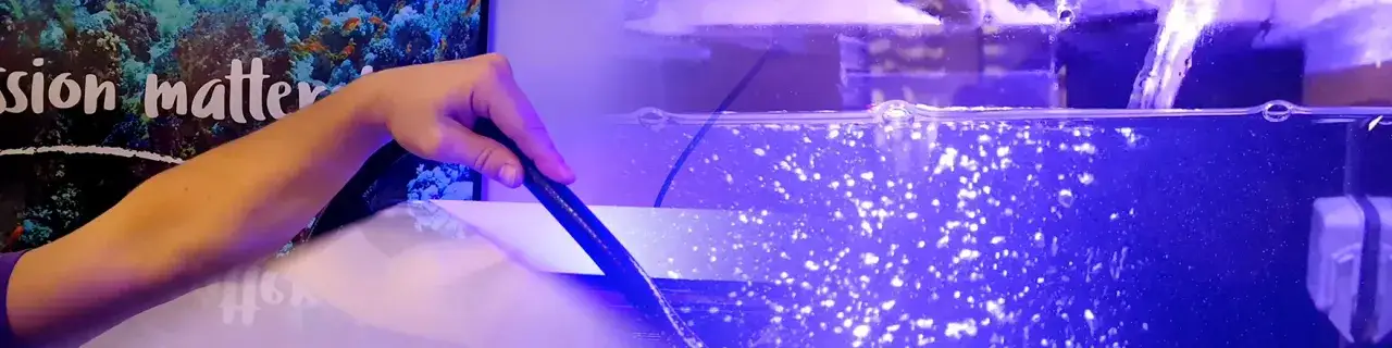 Tabela częstotliwości podmiany wody w akwarium