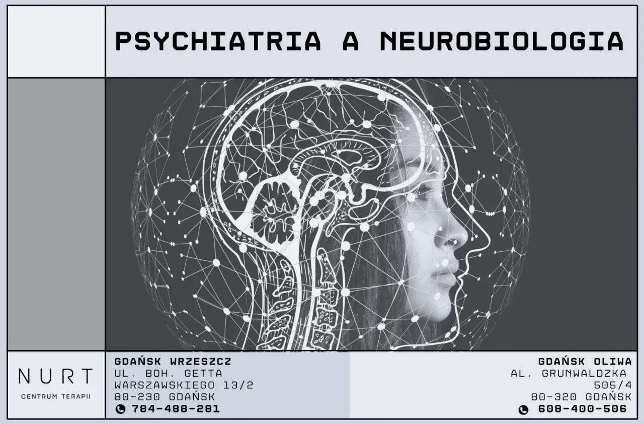M&oacute;zg ADHD neuroprzekaźniki dopamina noradrenalina kora przedczołowa