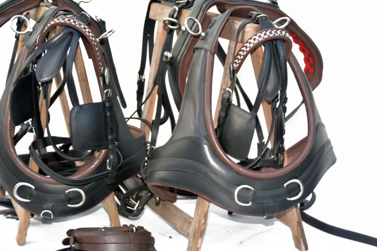 Skórzane szory dla konia, gotowe do zaprzęgu. Eleganckie, czarne i brązowe, z metalowymi okuciami.