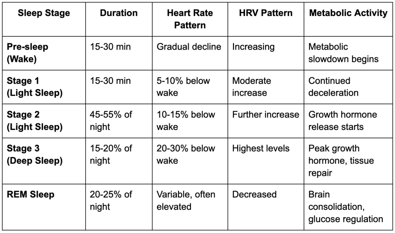 Tabela por&oacute;wnuje fazy snu: czas trwania, wzorzec tętna (spoczynkowe tętno spada w głębokim śnie), HRV i aktywność metaboliczną.
