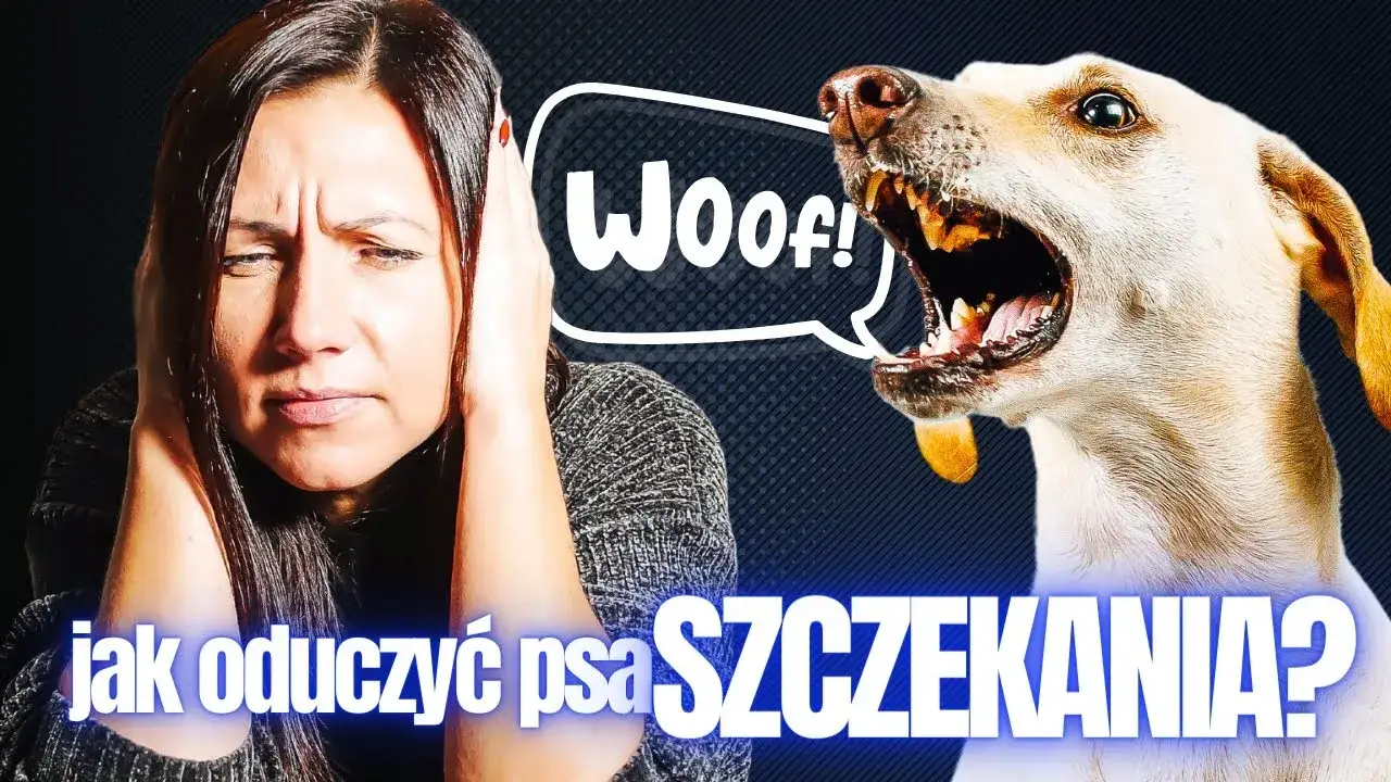 schemat zgłaszania uciążliwego szczekania psa w bloku
