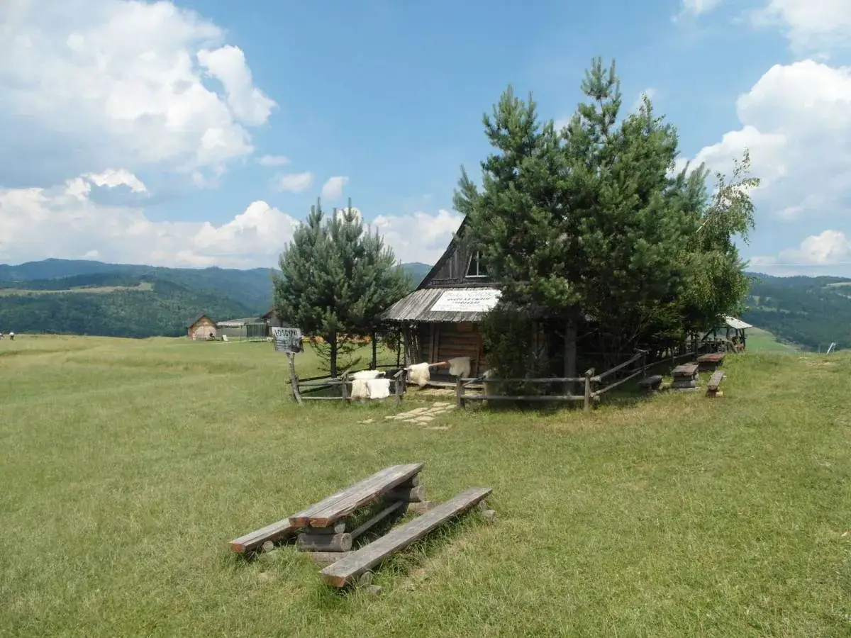 Drewniana bac&oacute;wka u Wojtka na wzg&oacute;rzu, otoczona zielenią i g&oacute;rami. Obok ławki i stoły, idealne na odpoczynek.