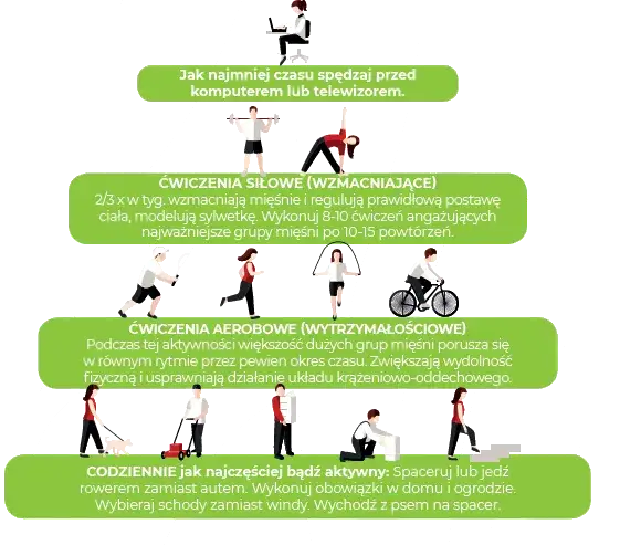 Zalecenia WHO dotyczące aktywności fizycznej infografika