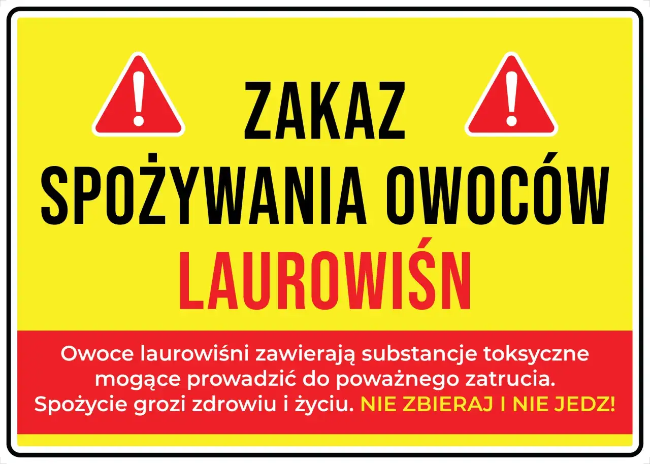Ostrzeżenie: Zakaz spożywania owoców laurowiśni. Są toksyczne i nie jadalne. Spożycie grozi zdrowiu i życiu.