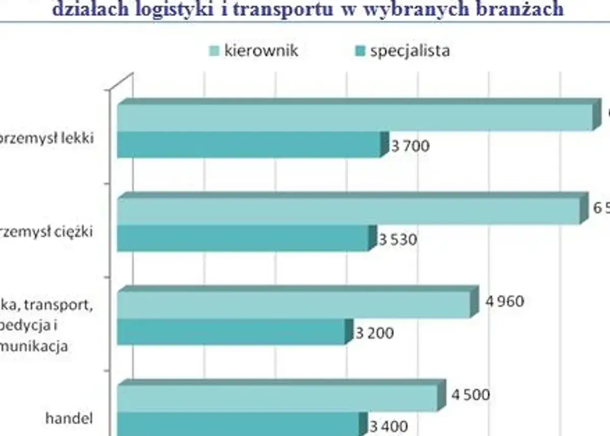 Wykres por&oacute;wnuje liczbę stanowisk kierowniczych i specjalistycznych w logistyce w r&oacute;żnych branżach: przemyśle lekkim, ciężkim, handlu i komunikacji.