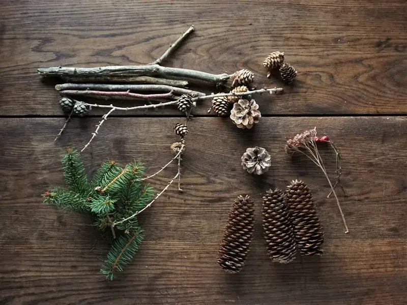 Materiały naturalne do ozdób świątecznych