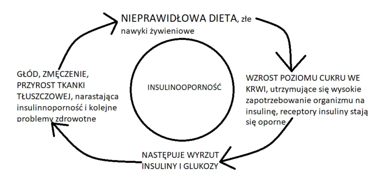 Mechanizm insulinooporności schemat