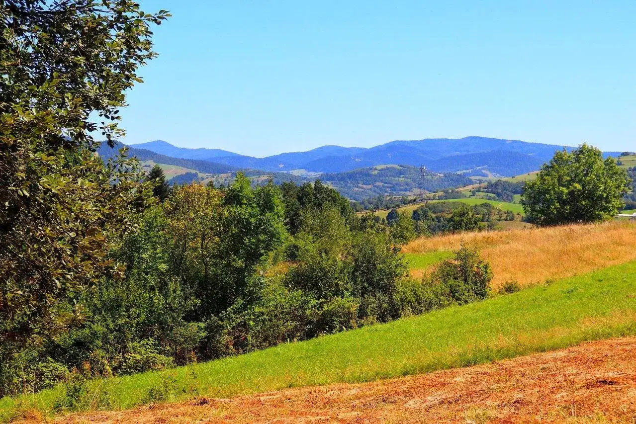 Piękny krajobraz g&oacute;rski z zielonymi łąkami i lasami. Szlak czerwony co oznacza? To trasa dla miłośnik&oacute;w przyrody i wędr&oacute;wek.