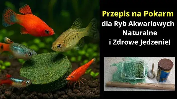 domowy pokarm dla rybek przepis