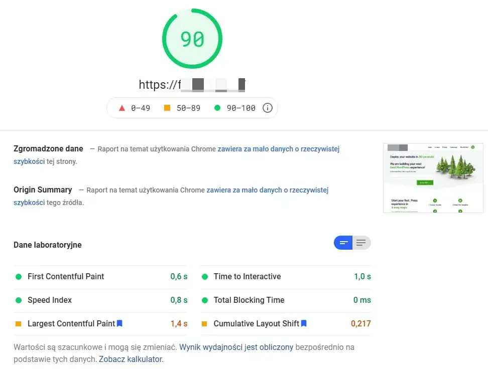 Zrzut ekranu Google PageSpeed Insights z wynikami