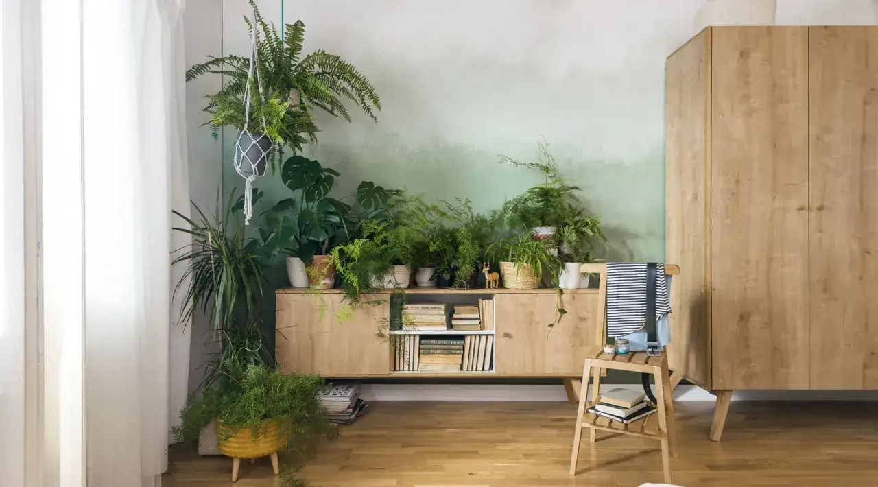 Wiele roślin, w tym paprotka w domu, tworzy zdrowy i przytulny klimat. Drewniana komoda i szafa dodają ciepła.