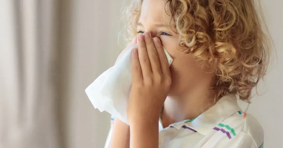 objawy alergii na brzozę układ oddechowy