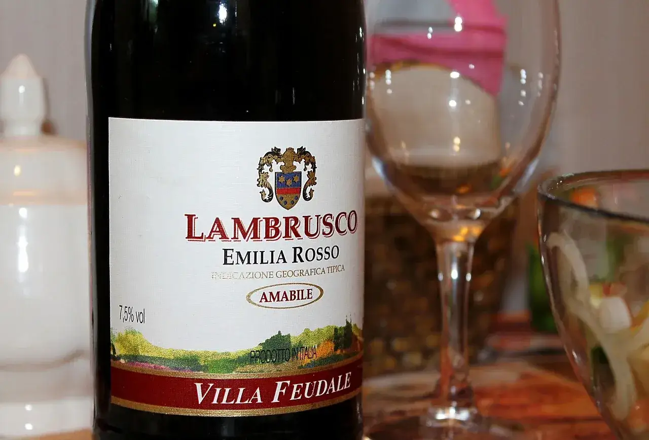 Butelka Lambrusco Emilia Rosso. Zastanawiasz się, jak rozcieńczyć nalewkę? Tutaj masz butelkę wina, która może być inspiracją.