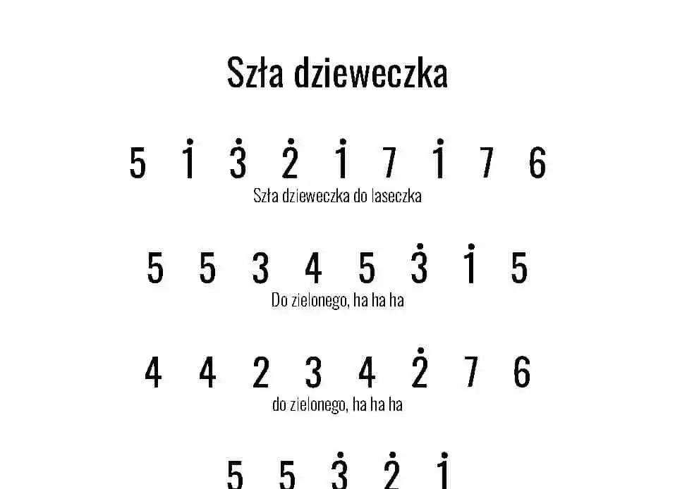 anatomia nuty główka laseczka chorągiewka