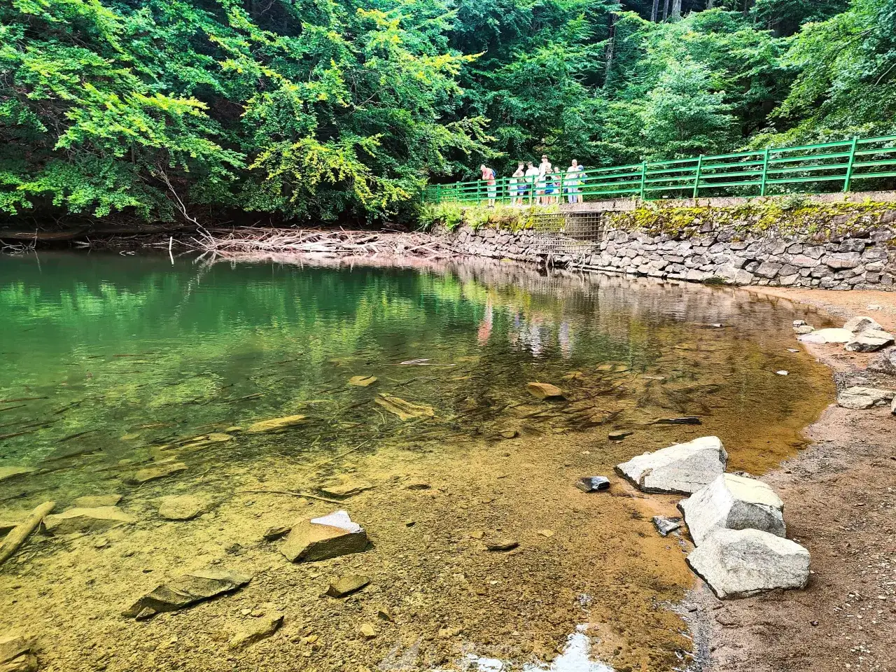 Morskie Oko: czysta woda, ryby pływają, a na brzegu leży rower.