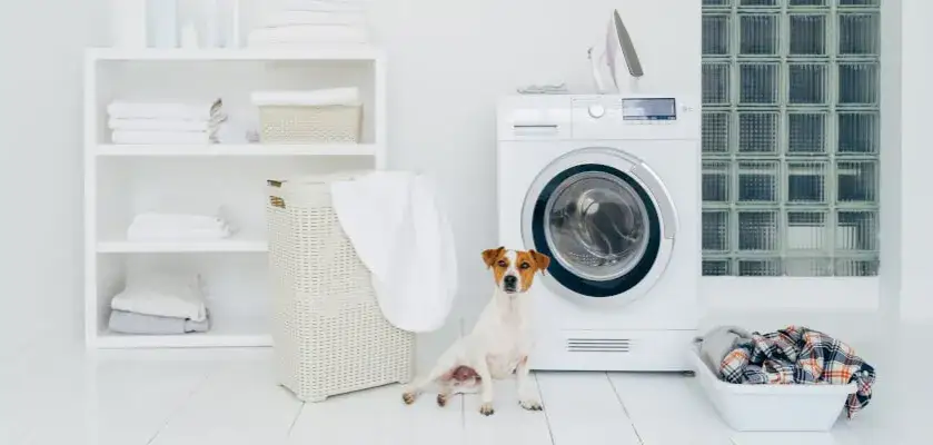 Pralki Beko z funkcją Pupil por&oacute;wnanie modeli