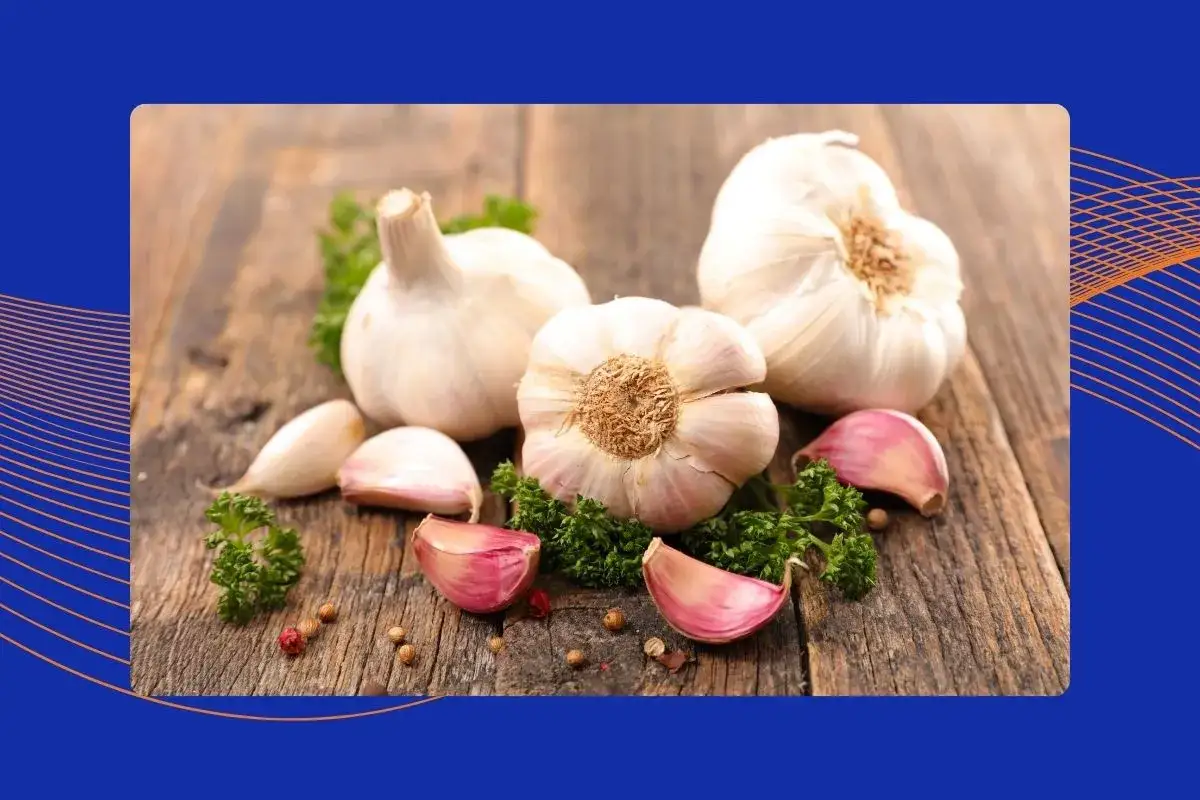 Główki czosnku i ząbki na drewnianym tle, otoczone natką pietruszki i pieprzem. Czy czosnek jest zdrowy? Tak, to naturalny lek!