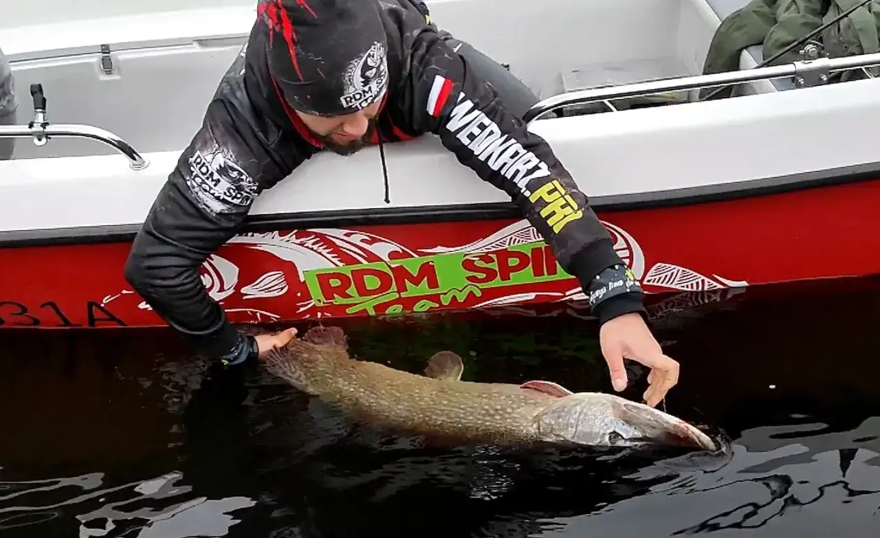 Wędkarz łowiący szczupaki jesienią