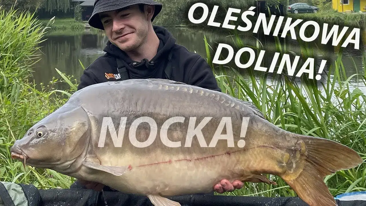 Oleśnikowa Dolina ryby karp amur jesiotr