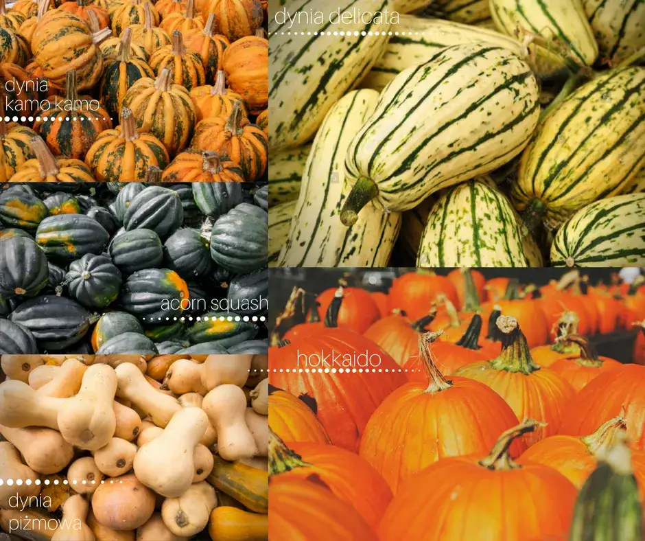 różne odmiany dyni na zupę