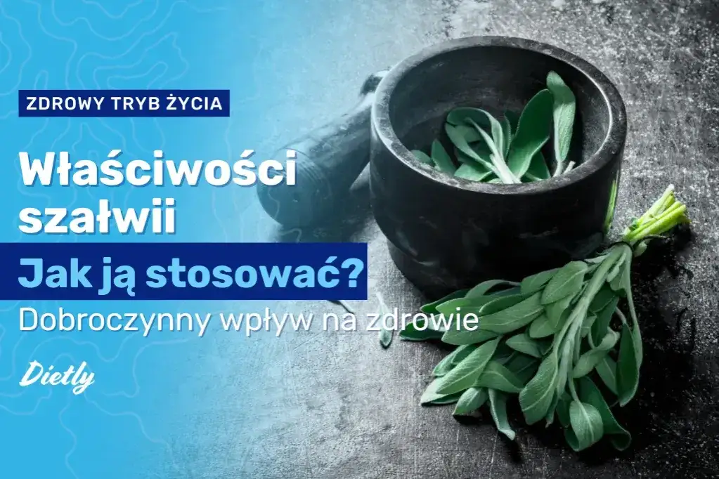 szałwia przeciwwskazania grafika