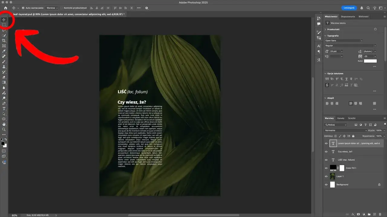 Photoshop stemplowanie warstw niedestrukcyjne