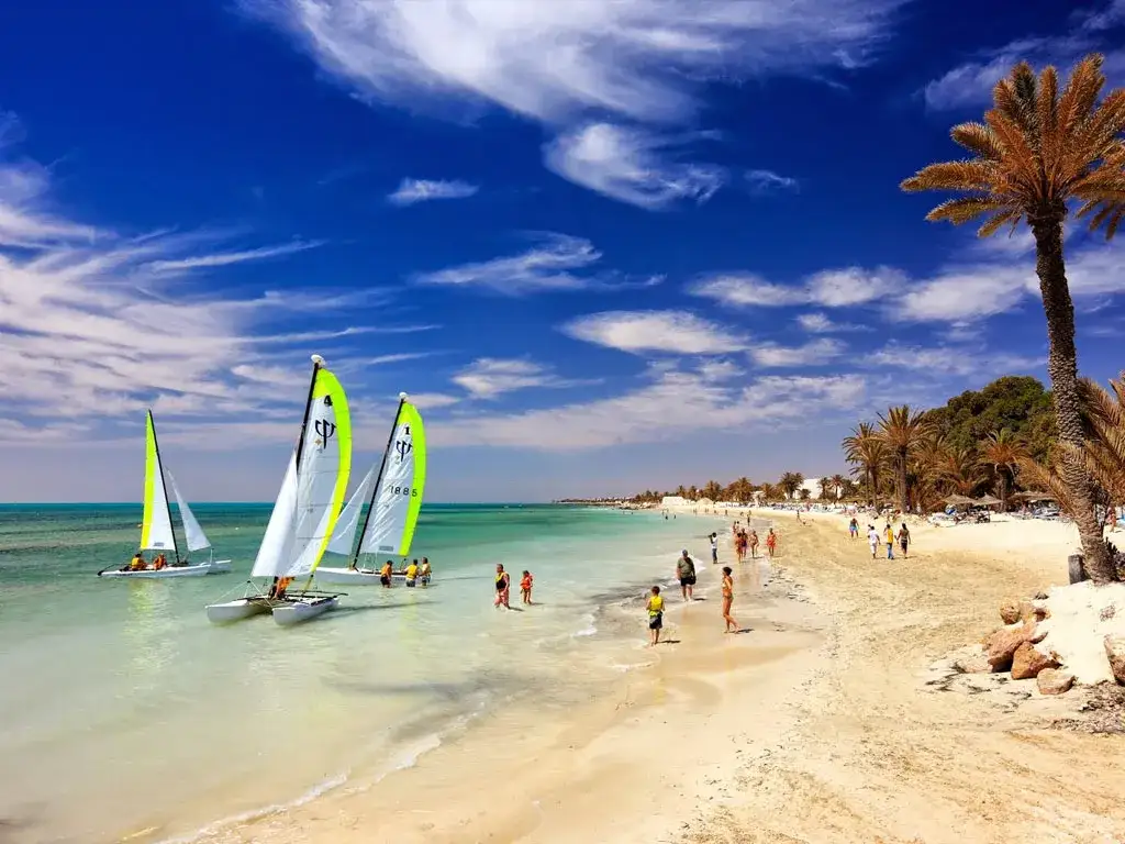 Djerba krajobraz palmy plaża