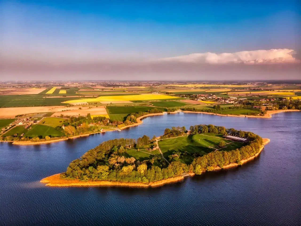 Zielona wyspa na jeziorze, otoczona polami rzepaku. Ile jest wysp w Polsce? Tysiące! Ta wygląda jak z bajki.