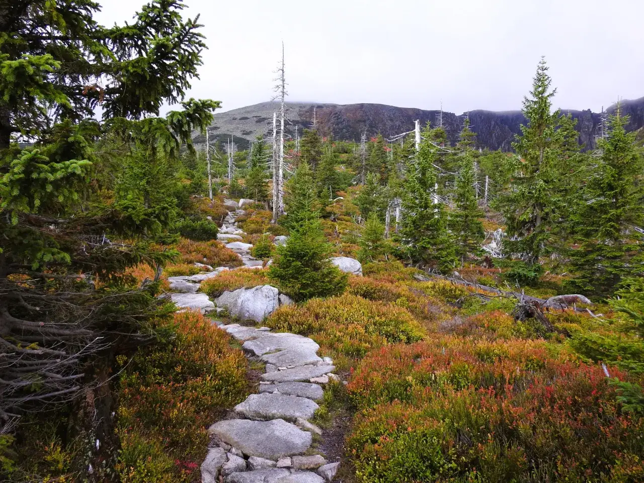 Beskidy z dziećmi łatwe szlaki