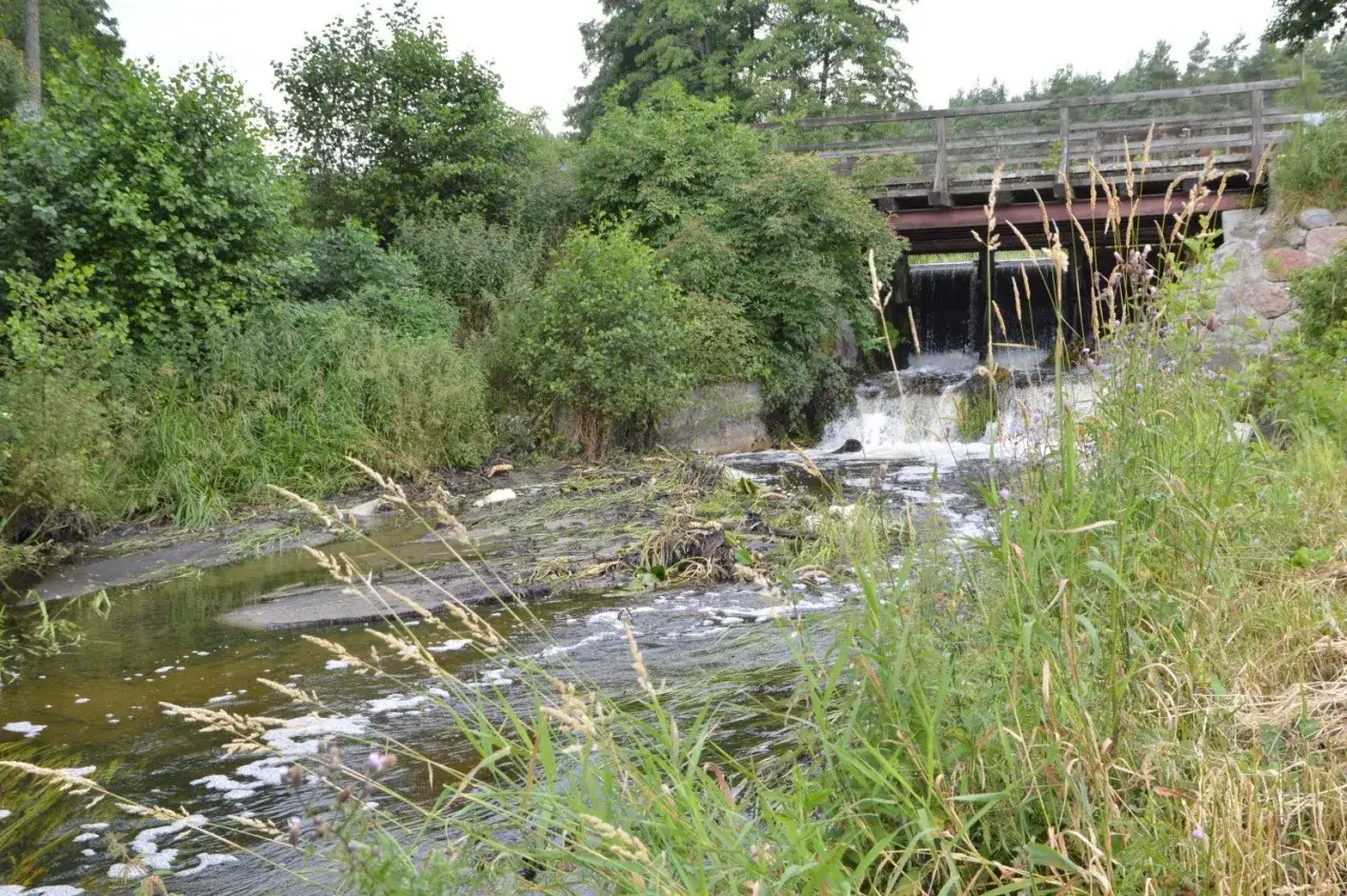 Zanieczyszczenia przemysłowe w rzece