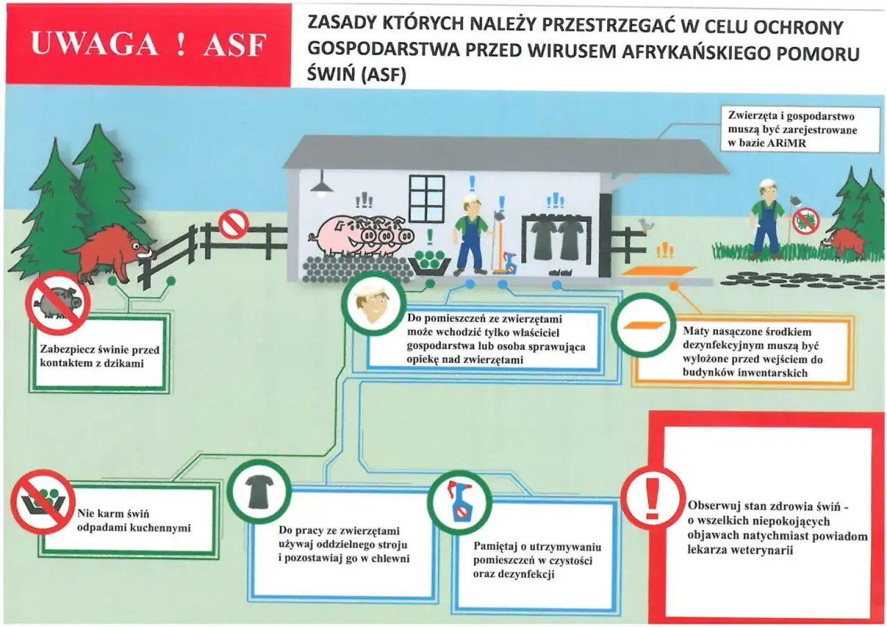 Metody dezynfekcji pomieszczeń infografika