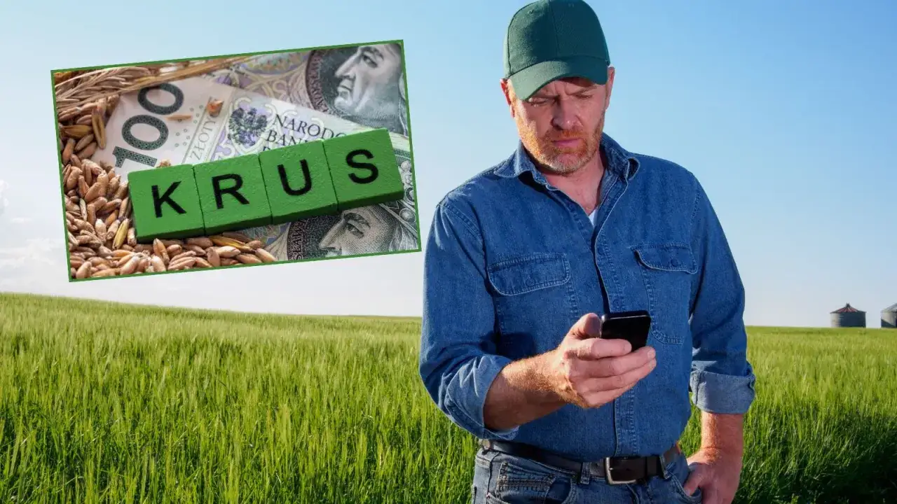 Rolnik sprawdza na telefonie, ile wynosi emerytura rolnicza. W tle zboże i banknoty.