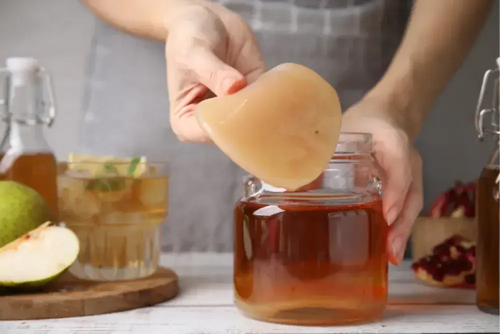 domowa kombucha pierwsza fermentacja słój